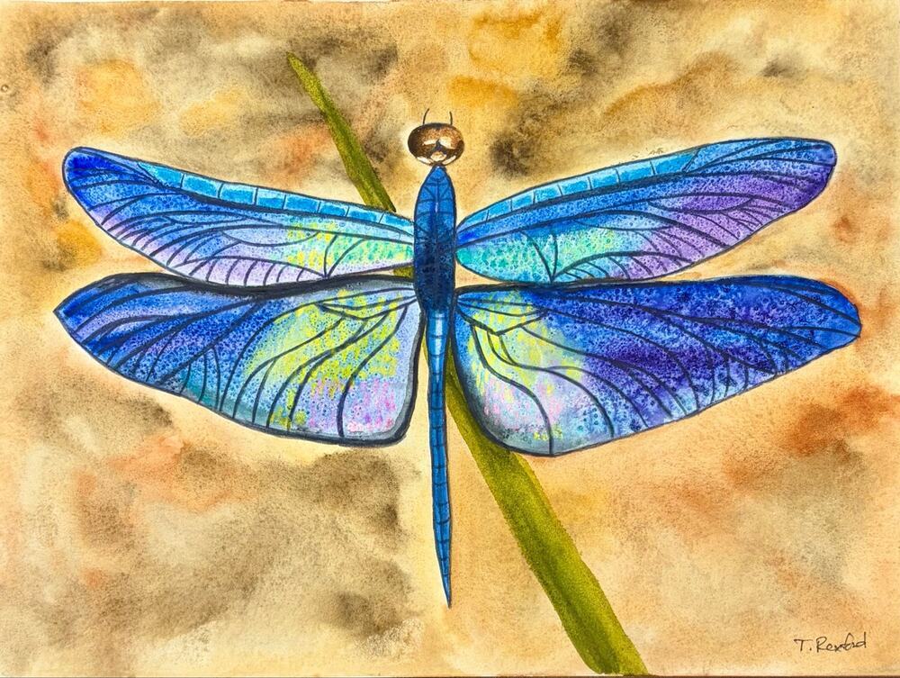 Hand painted watercolor original painting dragonfly purple green pink blue